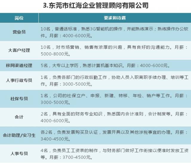 东莞市法制办公室最新招聘信息全面解析