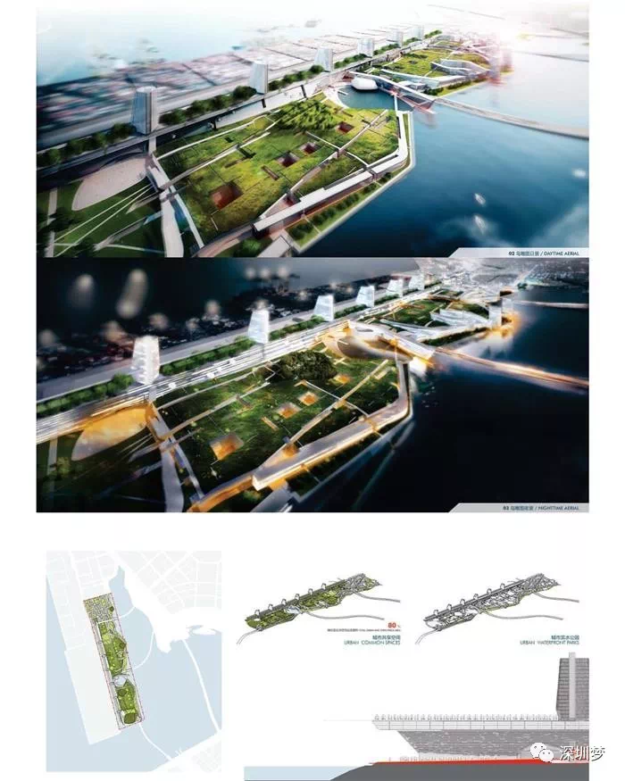 沙市区科学技术和工业信息化局最新发展规划概览