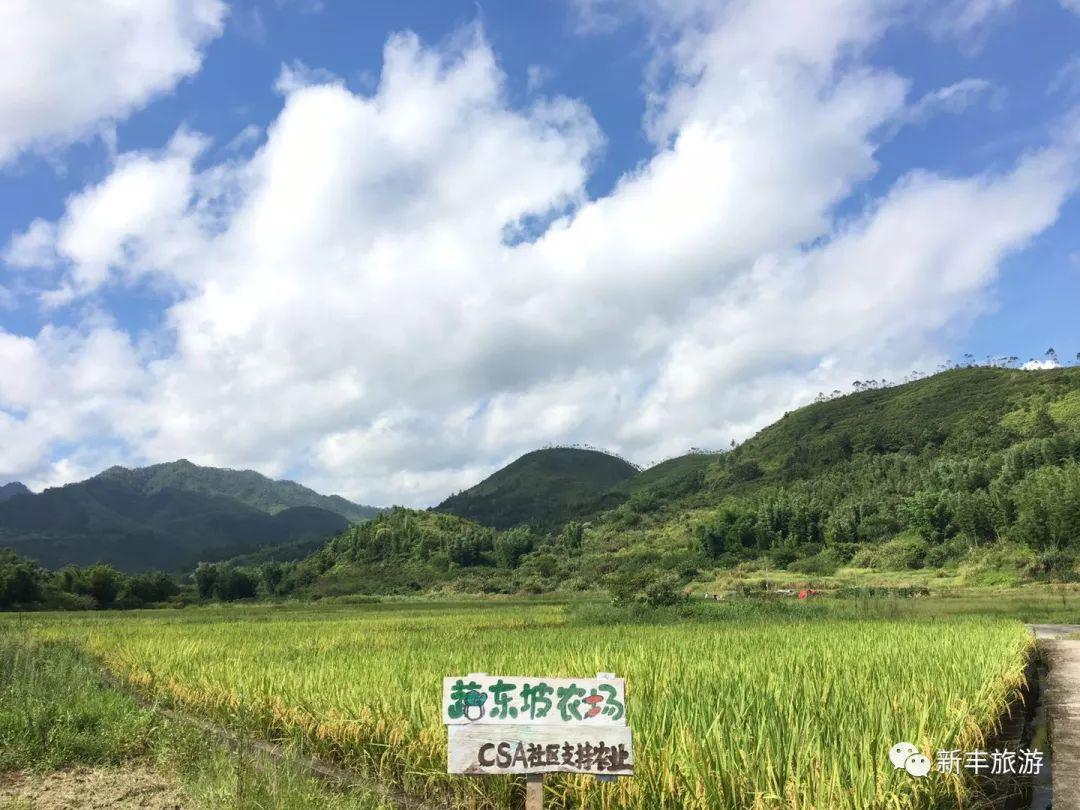 古农农场天气预报更新通知