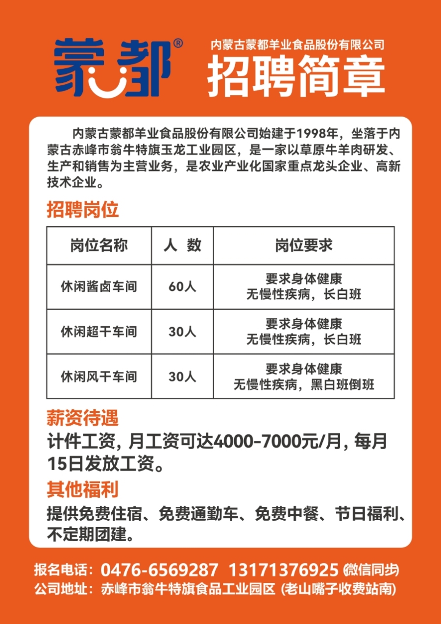 恩平市发展和改革局最新招聘公告概览